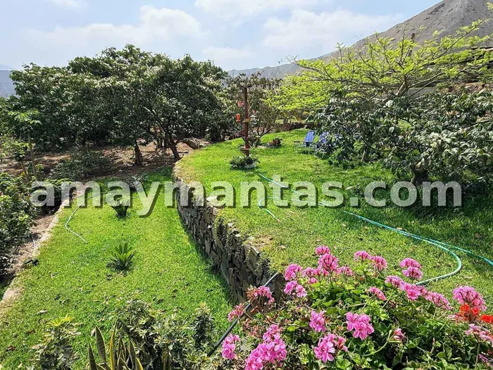 Mirador de Amaymantas